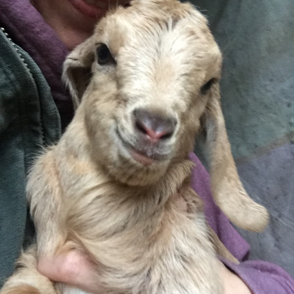 Meet your Posher, Whitney